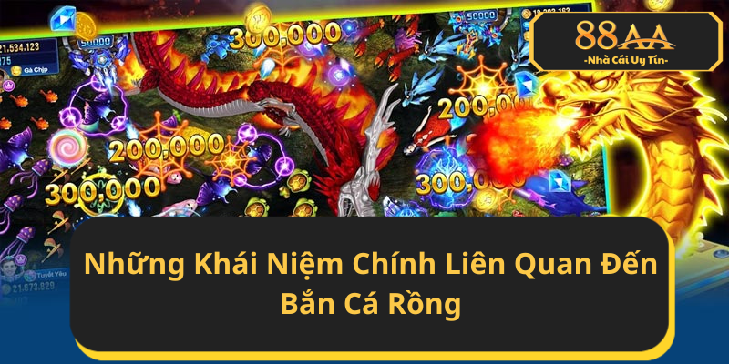 Những Khái Niệm Chính Liên Quan Đến Bắn Cá Rồng